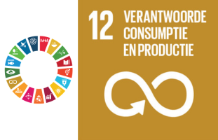 SDG 12 Verantwoorde consumptie