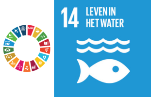 SDG 14 Leven in het water