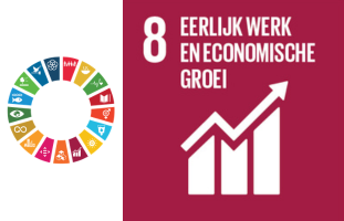 SDG 8: Eerlijk werk en economische groei