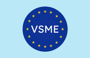 VSME Faq